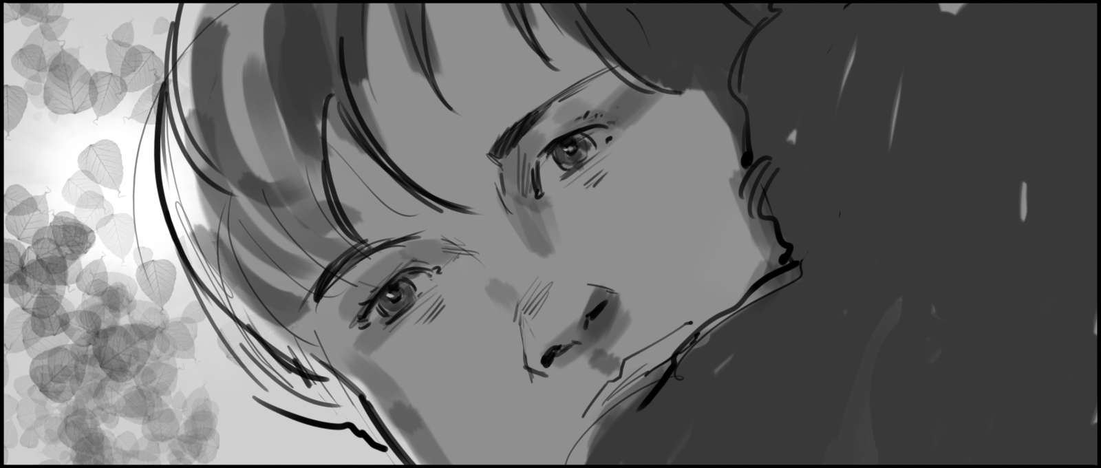 frame3a
