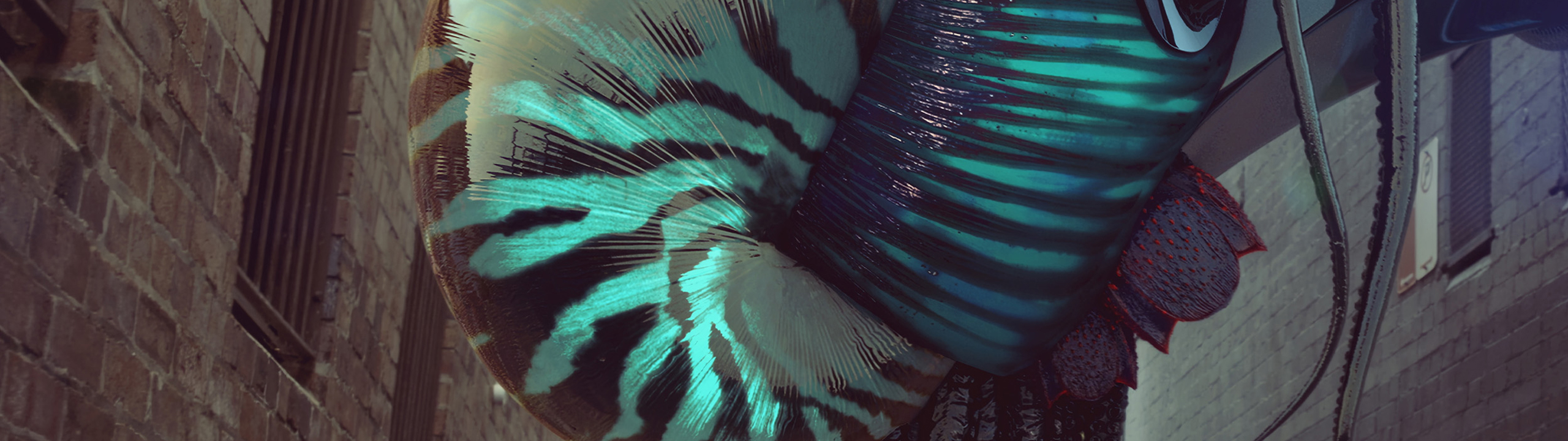 MTV–HD-__thumbnails_03 MTV–HD-__thumbnails_03