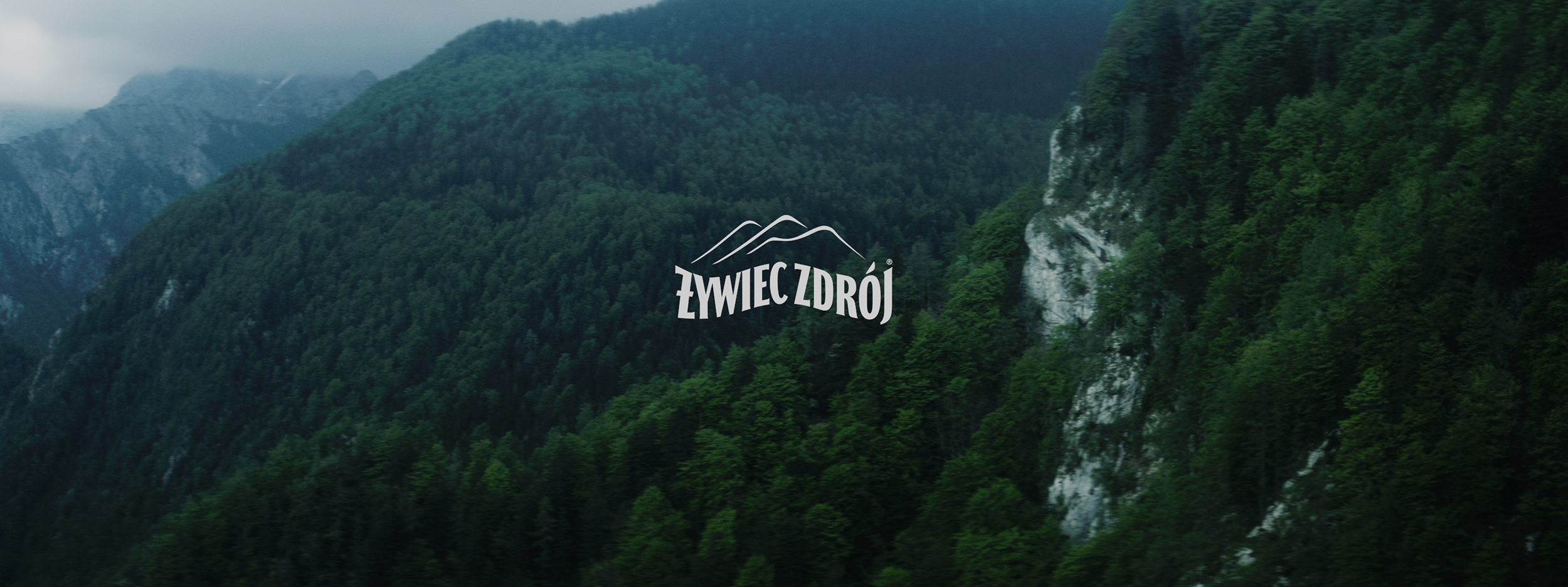 ZYWIEC – LIFE –  (31)